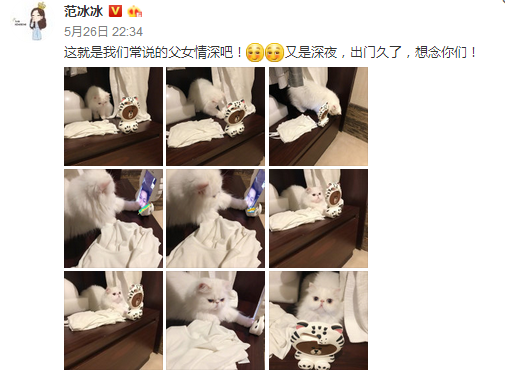 李晨和范冰冰爱猫视频用的什么牌子手机壳 范冰冰同款立体熊手机壳